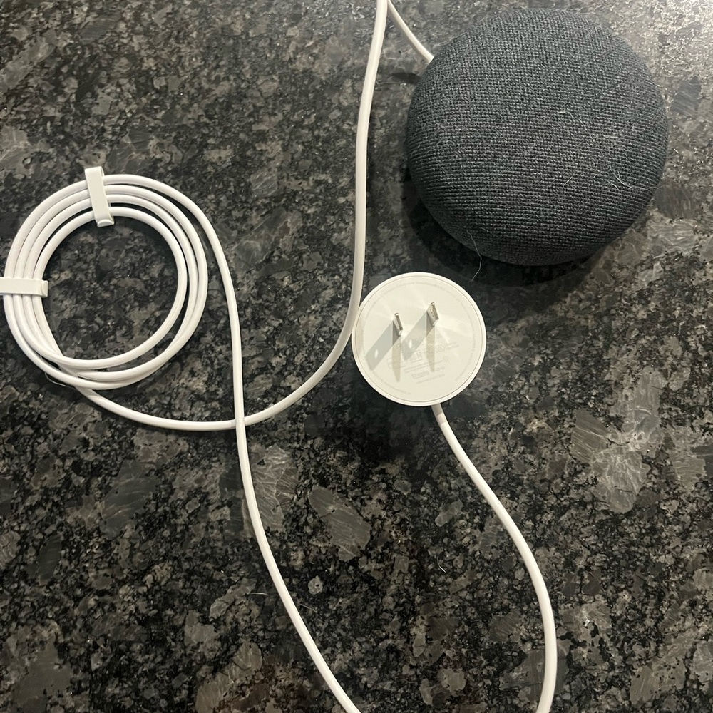 Google Nest Mini Home Speaker